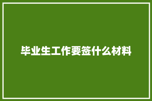 毕业生工作要签什么材料 工作总结