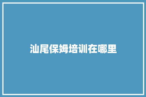 汕尾保姆培训在哪里 项目报告