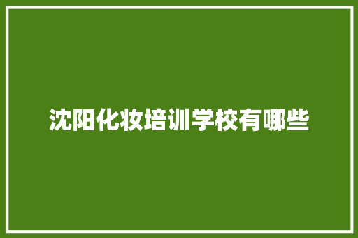 沈阳化妆培训学校有哪些