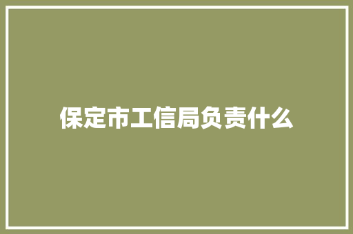 保定市工信局负责什么