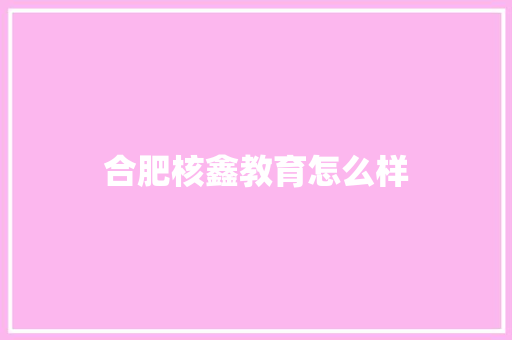 合肥核鑫教育怎么样