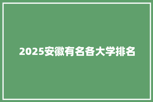 2025安徽有名各大学排名