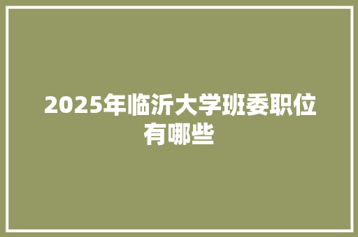 2025年临沂大学班委职位有哪些 应用文