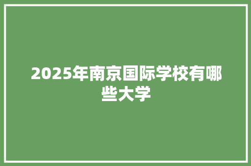 2025年南京国际学校有哪些大学 项目报告
