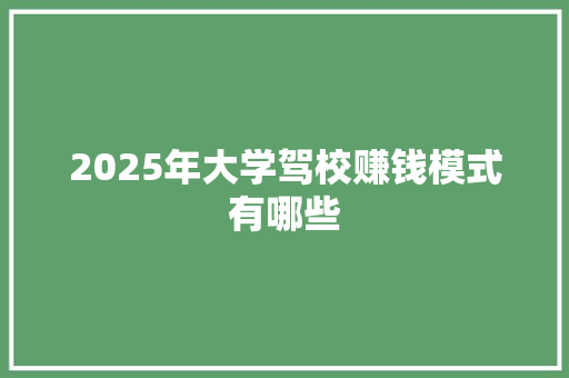 2025年大学驾校赚钱模式有哪些