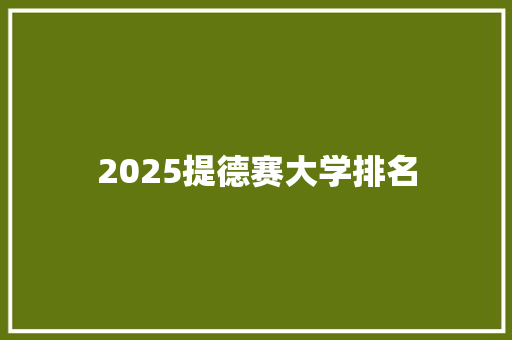 2025提德赛大学排名