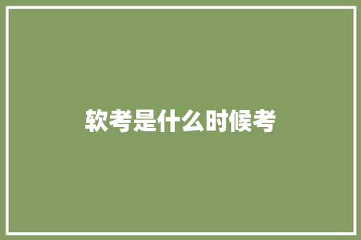 软考是什么时候考 职场写作