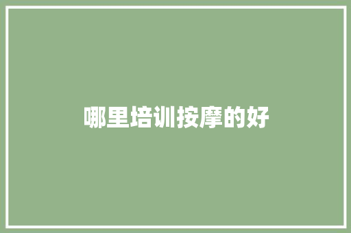 哪里培训按摩的好 会议纪要