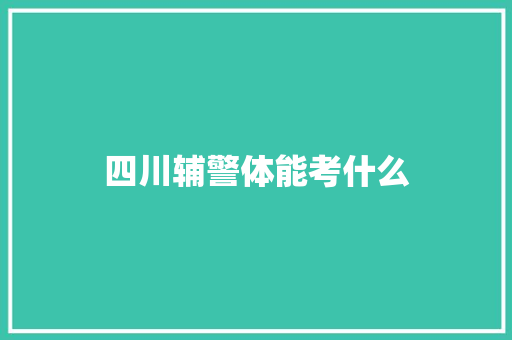 四川辅警体能考什么