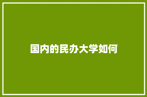 国内的民办大学如何 会议纪要
