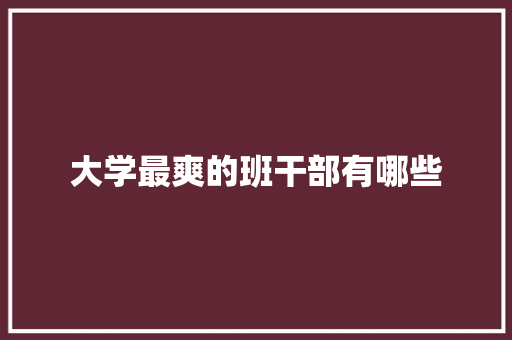 大学最爽的班干部有哪些