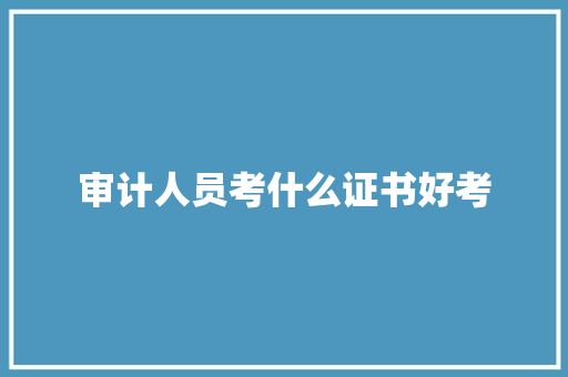 审计人员考什么证书好考 社交媒体