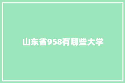 山东省958有哪些大学 项目报告