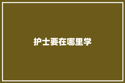 护士要在哪里学 会议纪要