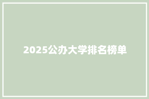 2025公办大学排名榜单 项目报告