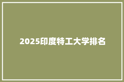 2025印度特工大学排名 项目报告