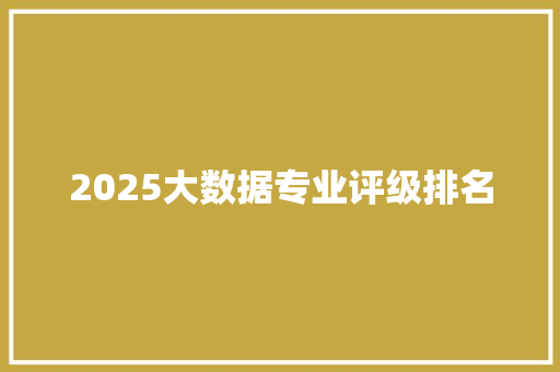 2025大数据专业评级排名 会议纪要
