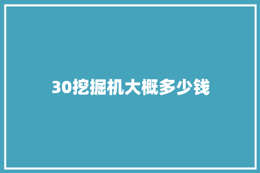 30挖掘机大概多少钱