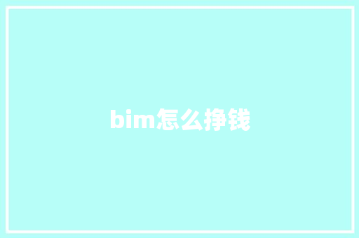 bim怎么挣钱