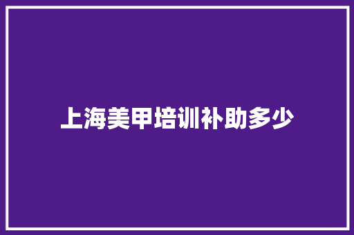 上海美甲培训补助多少 职场写作