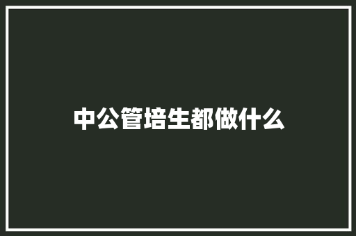 中公管培生都做什么