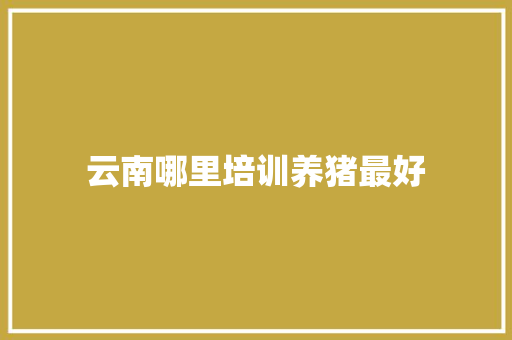 云南哪里培训养猪最好