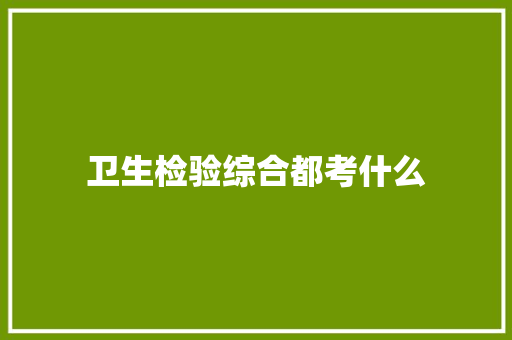 卫生检验综合都考什么 职场写作