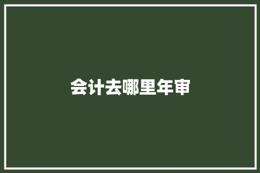会计去哪里年审