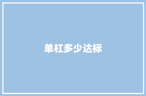单杠多少达标 应用文