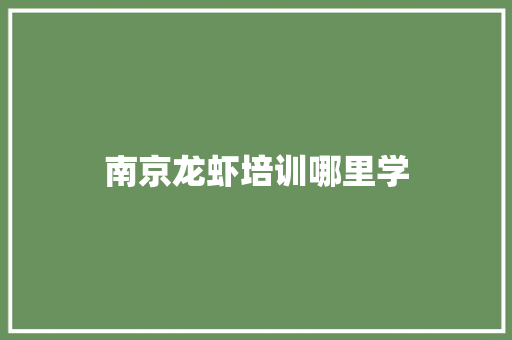 南京龙虾培训哪里学 应用文