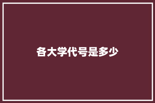 各大学代号是多少 项目报告