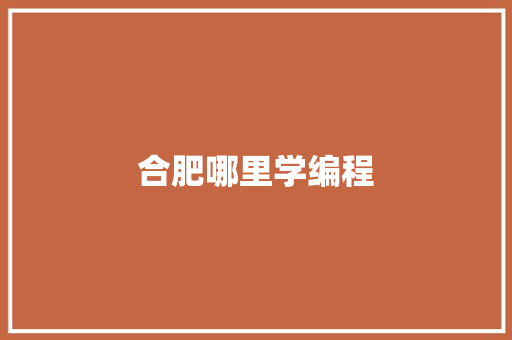 合肥哪里学编程 会议纪要