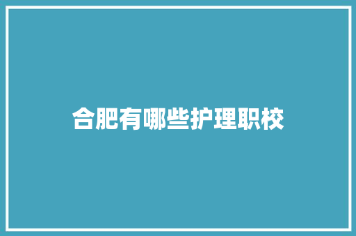 合肥有哪些护理职校 会议纪要