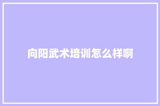 向阳武术培训怎么样啊 项目报告