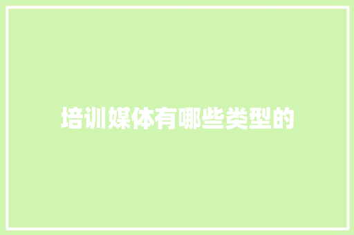 培训媒体有哪些类型的 工作总结