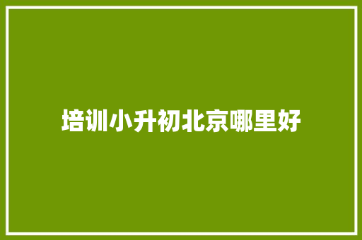 培训小升初北京哪里好 职场写作