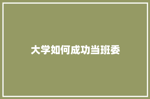 大学如何成功当班委 工作总结
