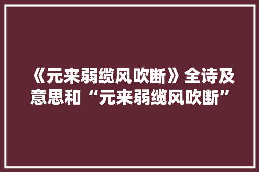 《元来弱缆风吹断》全诗及意思和“元来弱缆风吹断”的拼音注释 诗词鉴赏