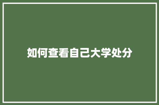 如何查看自己大学处分