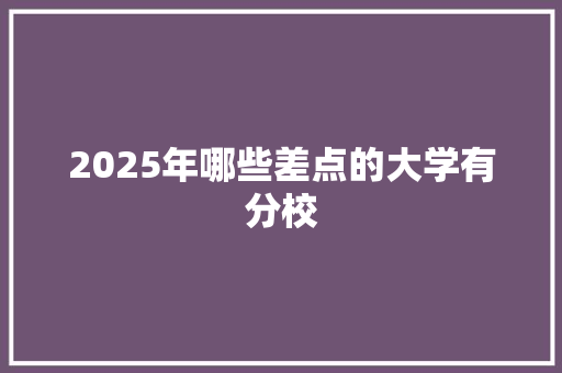 2025年哪些差点的大学有分校