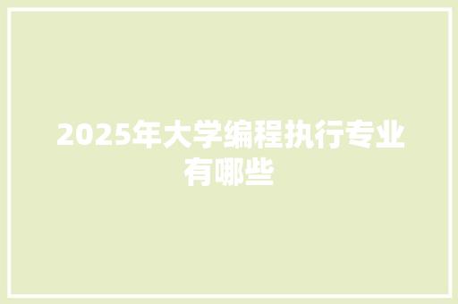 2025年大学编程执行专业有哪些