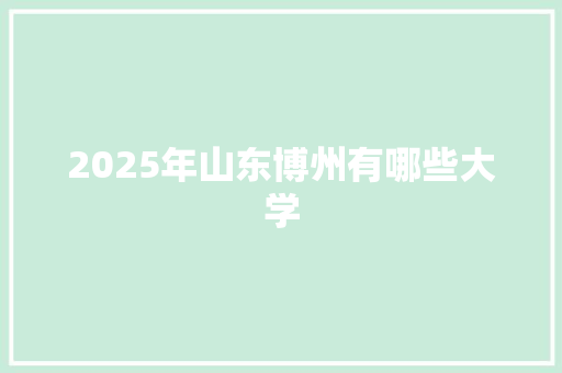 2025年山东博州有哪些大学