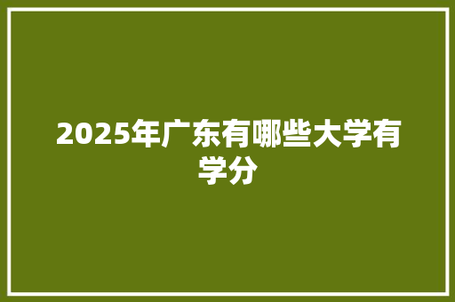 2025年广东有哪些大学有学分