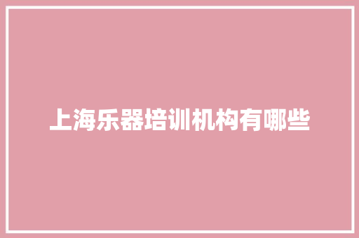 上海乐器培训机构有哪些 项目报告