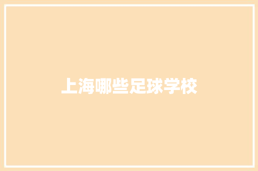 上海哪些足球学校 工作总结
