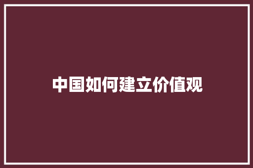 中国如何建立价值观 职场写作