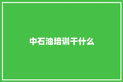 中石油培训干什么