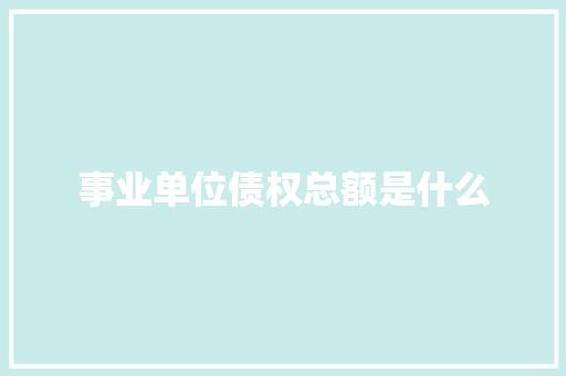 事业单位债权总额是什么