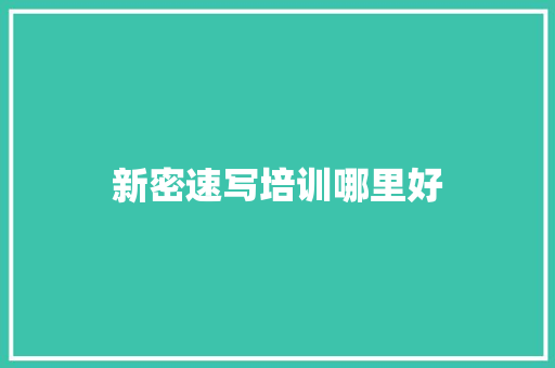 新密速写培训哪里好