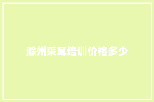 滁州采耳培训价格多少 应用文